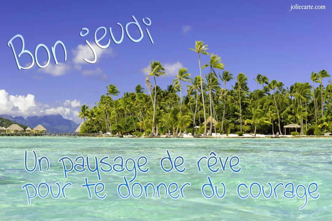 Paysage tropical idyllique montrant un lagon turquoise, une plage bordée de palmiers luxuriants et des bungalows sur pilotis sous un ciel bleu.