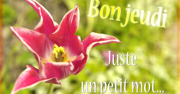 Aperçu de la carte : Bon jeudi, juste un petit mot...