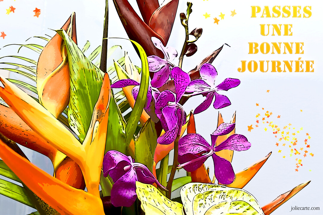 Une composition florale stylisée présente un bouquet d'oiseaux de paradis orange et d'orchidées violettes sur un fond clair avec des étoiles scintillantes.