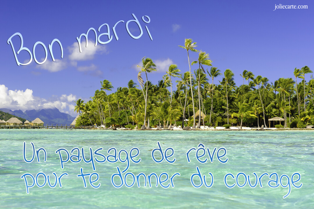 Paysage d'une île tropicale avec des bungalows sur pilotis, une plage de sable blanc et des palmiers, sous un ciel bleu.