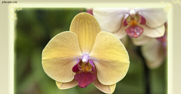 Aperçu de la carte : Tu me manques déjà