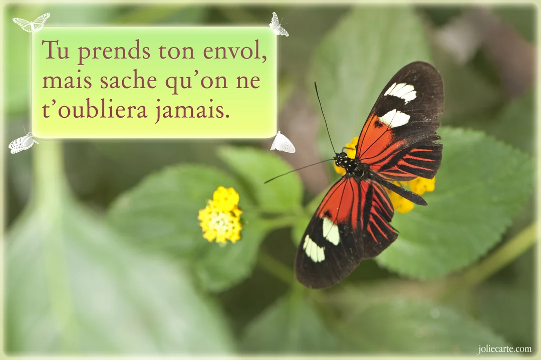 Un papillon aux ailes rouges, noires et blanches butine une fleur jaune, sur un fond de feuilles vertes avec un message d'au revoir.
