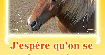 Aperçu de la carte : J'espère qu'on se perdra pas de vue