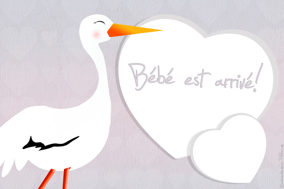 Une illustration douce d'une cigogne blanche au bec orange, à côté de cœurs blancs contenant le message annonçant la naissance d'un bébé.
