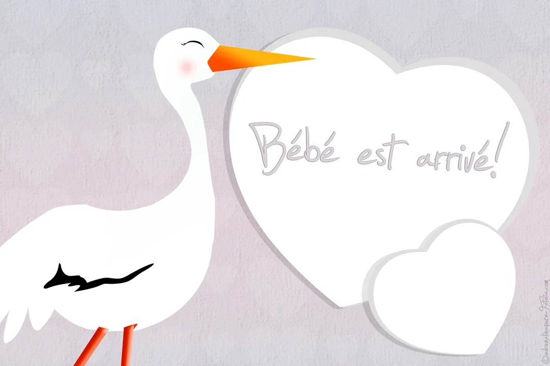 Une illustration douce d'une cigogne blanche au bec orange, à côté de cœurs blancs contenant le message annonçant la naissance d'un bébé.