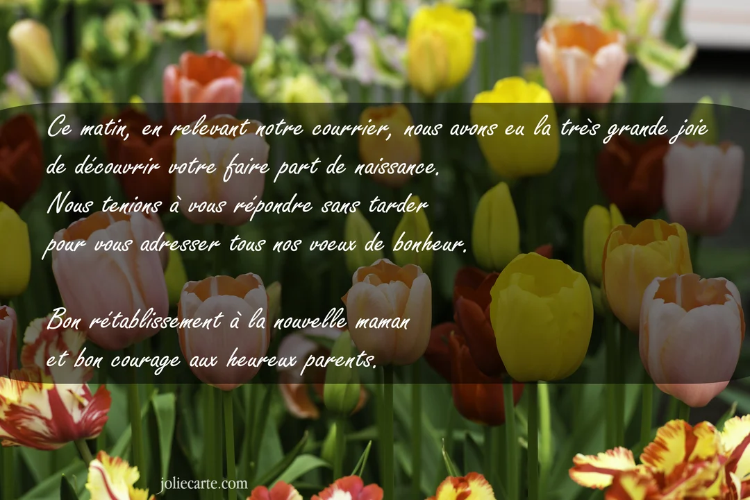Une carte de vœux pour une naissance présentant un texte calligraphié sur un champ de tulipes colorées aux tons chauds et printaniers.