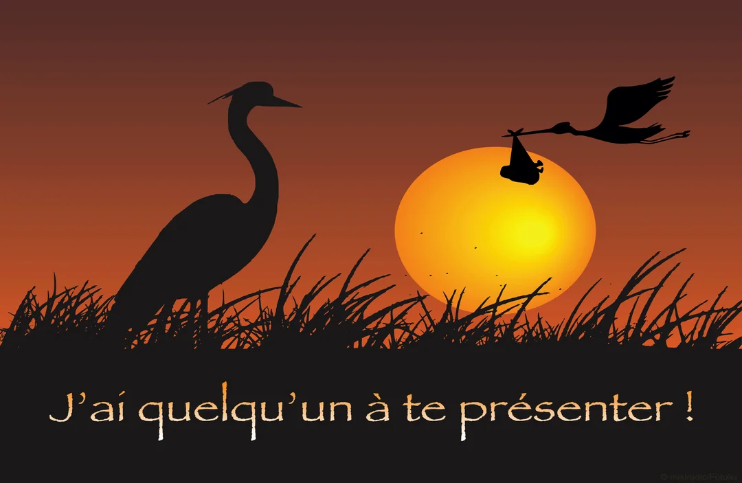 Une cigogne en silhouette vole vers un héron, transportant un bébé dans un baluchon devant un grand soleil couchant orangé.
