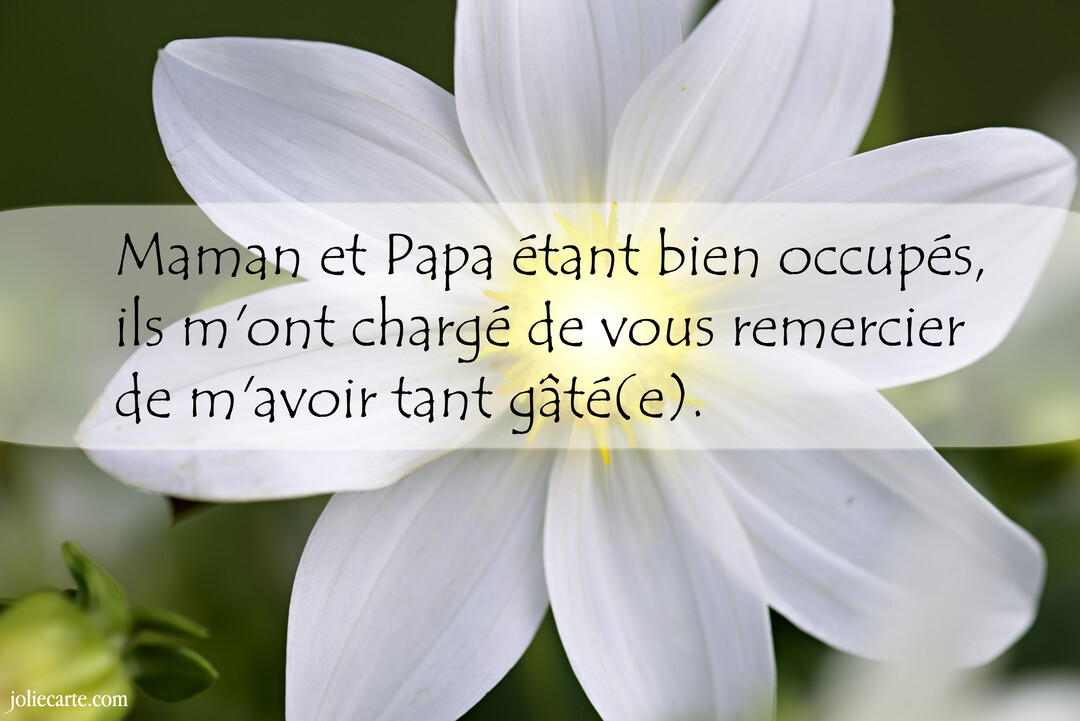 Gros plan sur une fleur blanche aux pétales délicats, avec un message de remerciement pour une naissance superposé au centre.