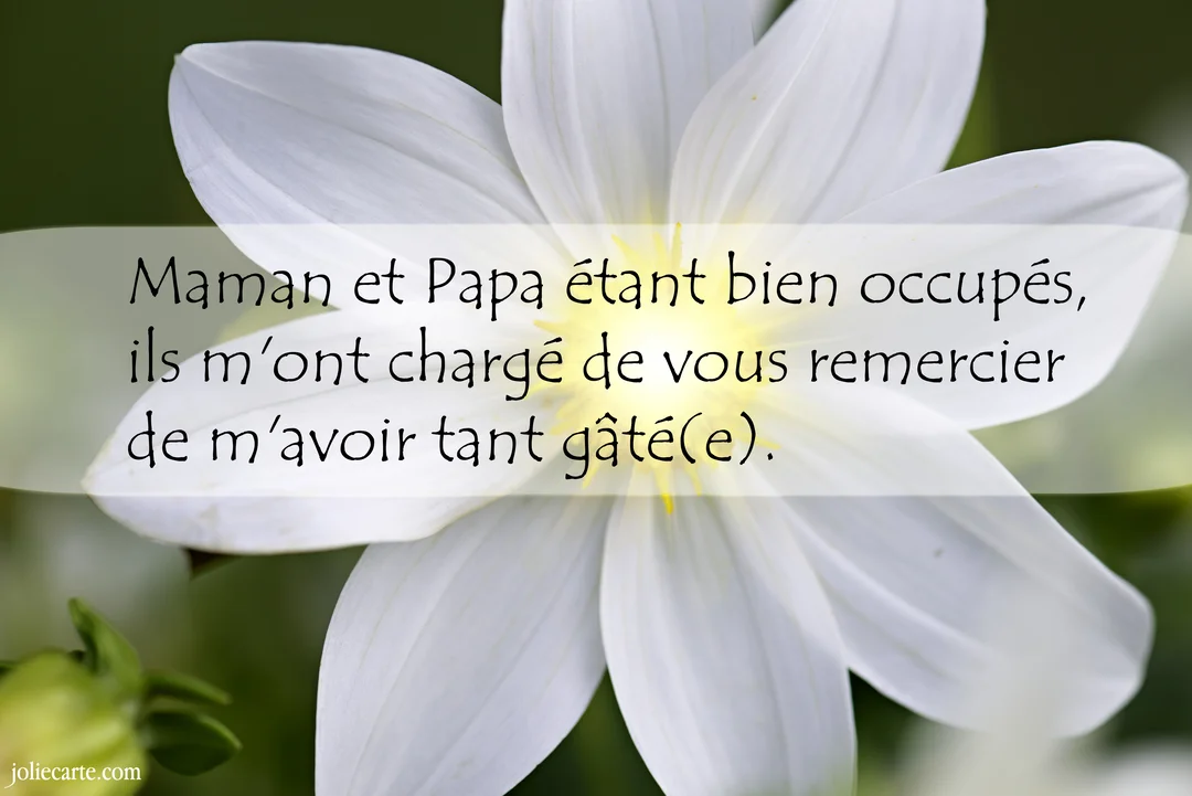 Gros plan sur une fleur blanche aux pétales délicats, avec un message de remerciement pour une naissance superposé au centre.
