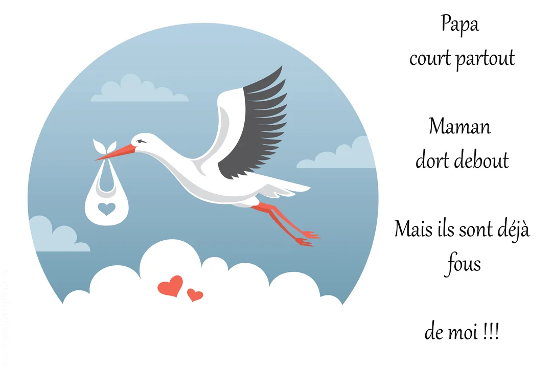 Une illustration d'une cigogne blanche et noire qui vole dans un ciel bleu, transportant dans son bec un baluchon blanc avec un cœur rouge.