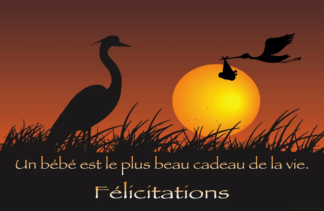 Au crépuscule, une cigogne en vol porte un bébé en silhouette devant un grand soleil, tandis qu'un héron se tient dans l'herbe.