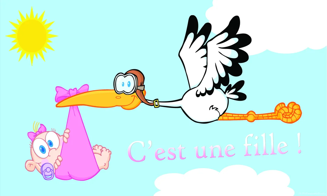 Une cigogne aviateur de style cartoon vole dans un ciel ensoleillé, livrant un bébé fille souriant dans un paquetage rose vif.