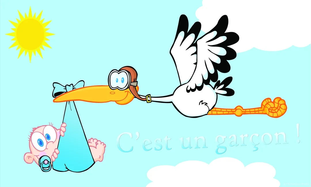 Une cigogne de dessin animé avec des lunettes d'aviateur vole dans le ciel, transportant un bébé garçon dans un baluchon bleu.