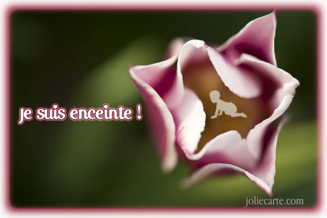 Gros plan sur une tulipe rose et blanche en train d'éclore, révélant en son centre la silhouette d'un bébé qui rampe.