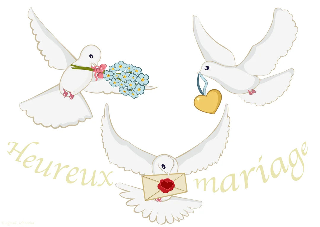 Trois colombes blanches illustrées volent sur un fond blanc, portant un bouquet, un cœur doré et une lettre scellée, avec un message de mariage.