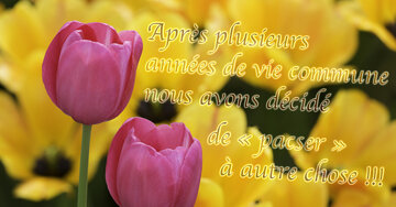Aperçu de la carte : « Après plusieurs années de vie commune, on passe à autre chose... »