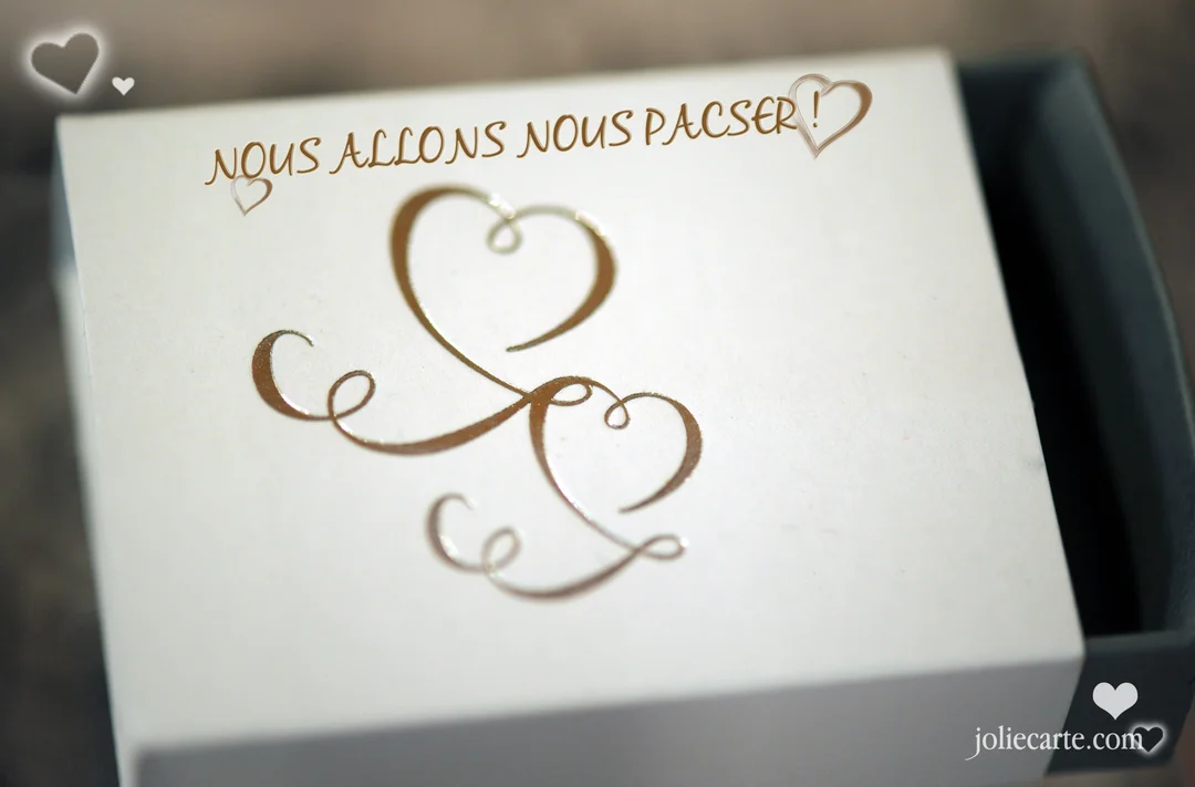Une boîte cadeau blanche entrouverte porte l'inscription dorée "Nous allons nous pacser !" surmontant deux grands cœurs stylisés et entrelacés.
