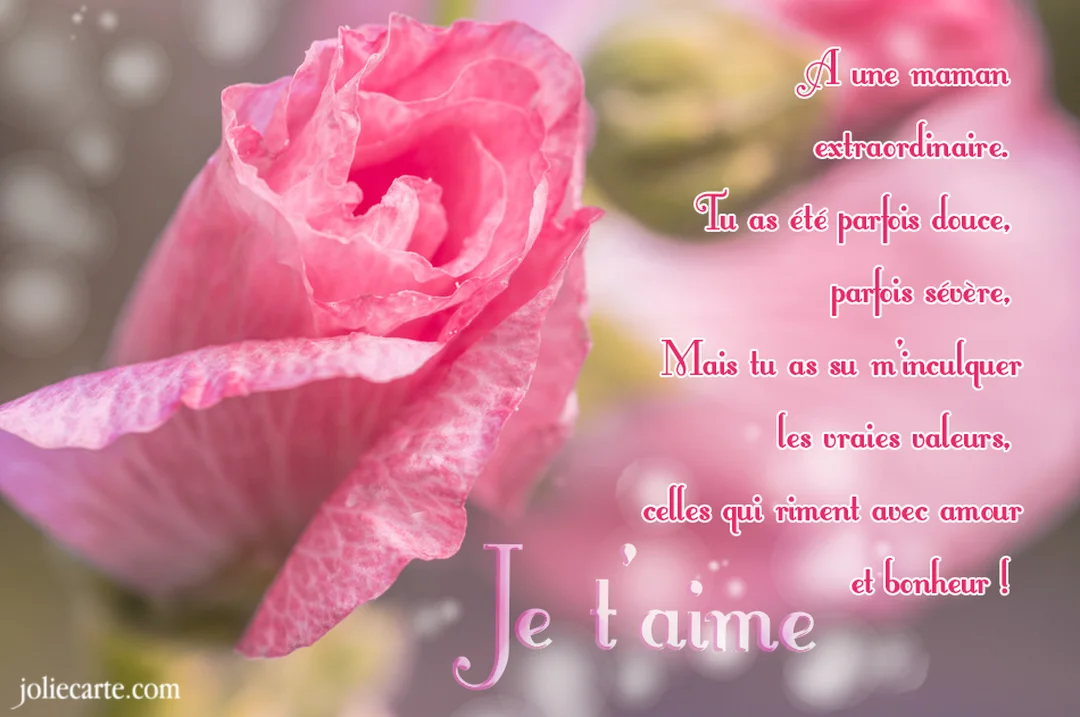 Gros plan sur une fleur de rose trémière aux pétales roses délicats sur un fond flou, avec un texte poétique superposé exprimant l'amour pour une maman.