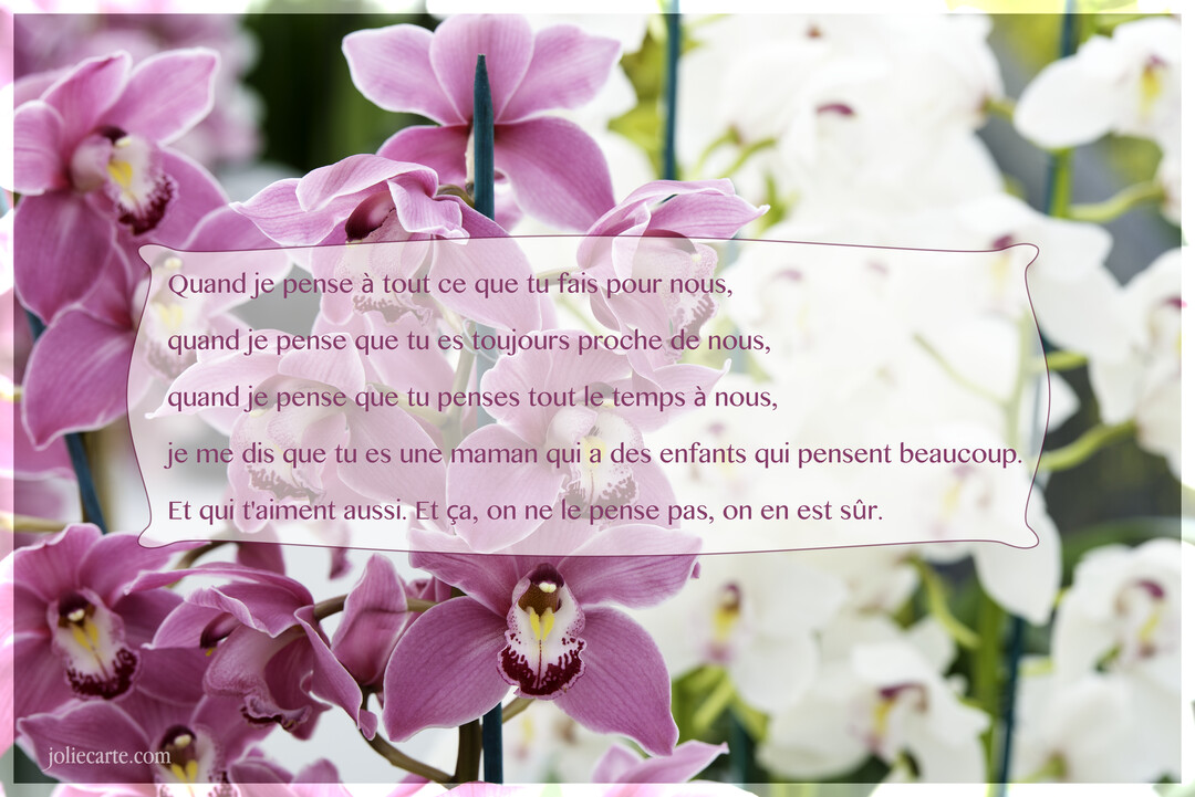 Texte poétique pour une mère, superposé sur une photographie en gros plan d'élégantes orchidées cymbidium roses, avec des fleurs blanches en arrière-plan.