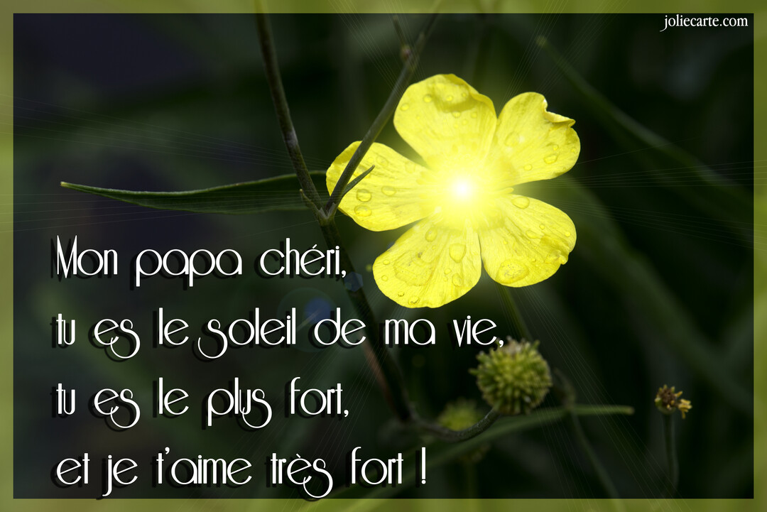 Une carte illustrée d'une fleur jaune lumineuse sur fond vert, accompagnée d'un tendre message d'amour pour un père.