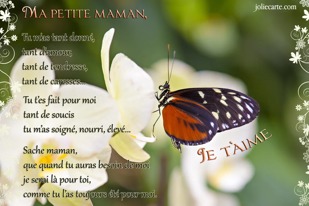 Photographie en gros plan d'un papillon orange et noir sur une fleur d'orchidée blanche, illustrant un poème d'amour dédié à une mère.