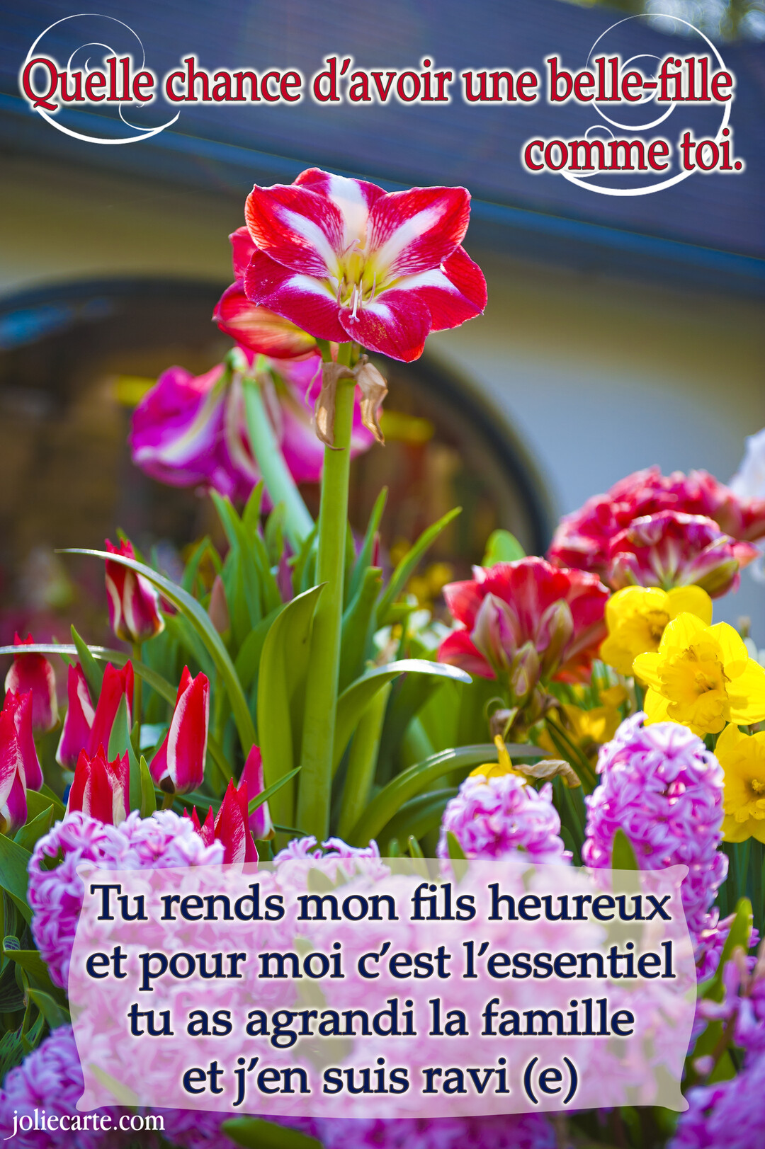 Une composition florale vibrante avec une amaryllis rouge et blanche au centre, entourée de tulipes, jacinthes et narcisses sur un fond joliment flouté.