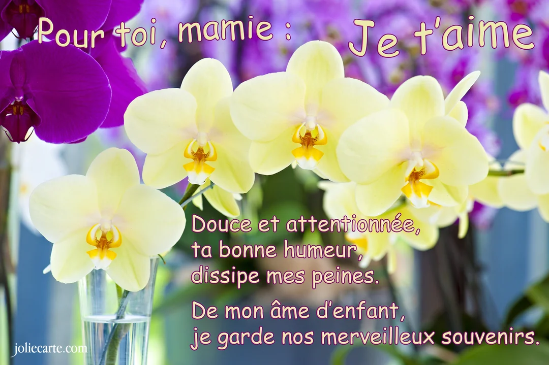 Composition florale avec des orchidées jaunes pâles et violettes accompagnant un tendre message d'amour dédié à une grand-mère adorée.