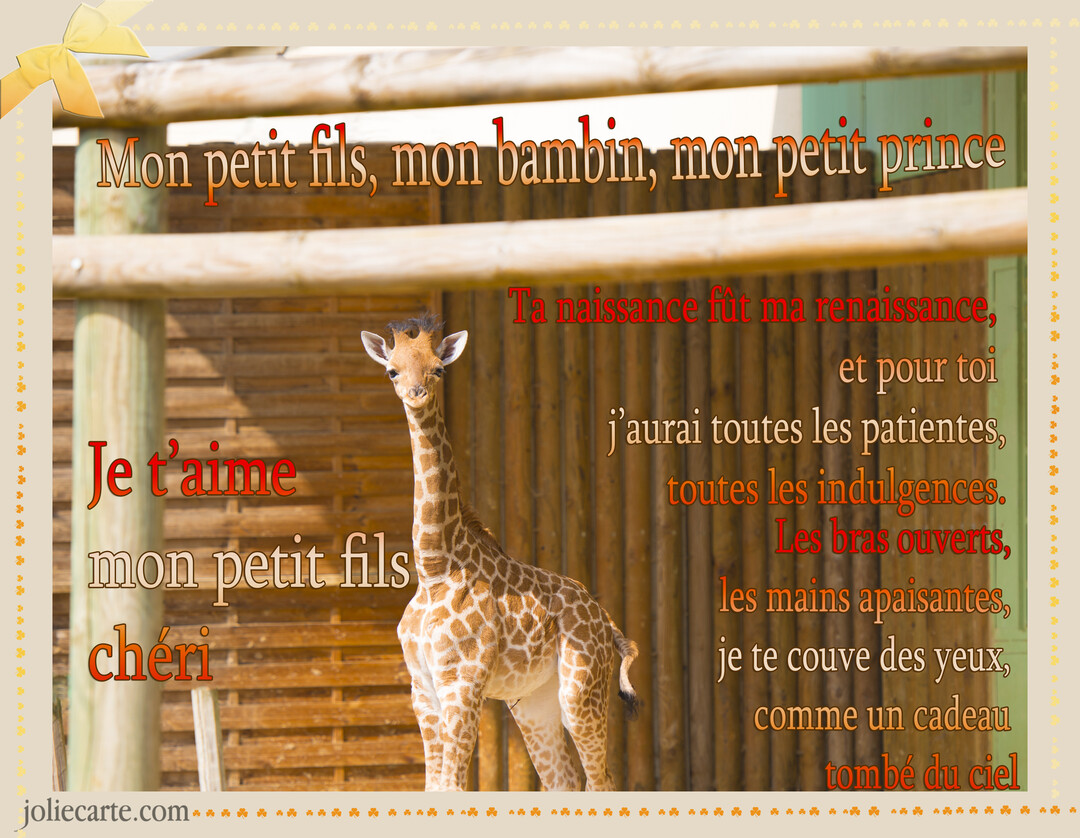 Une carte illustrée par la photographie d'un jeune girafon au pelage tacheté, sur laquelle est superposé un poème d'amour affectueux.