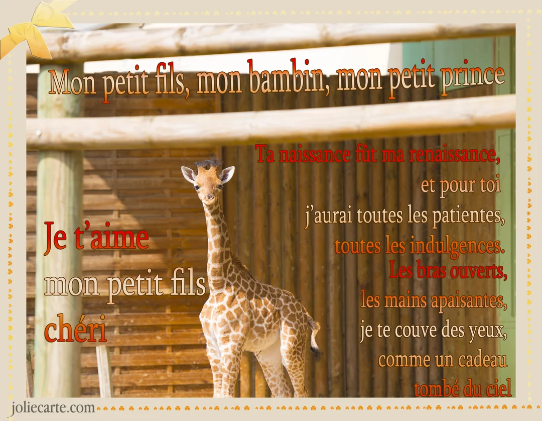 Une carte illustrée par la photographie d'un jeune girafon au pelage tacheté, sur laquelle est superposé un poème d'amour affectueux.
