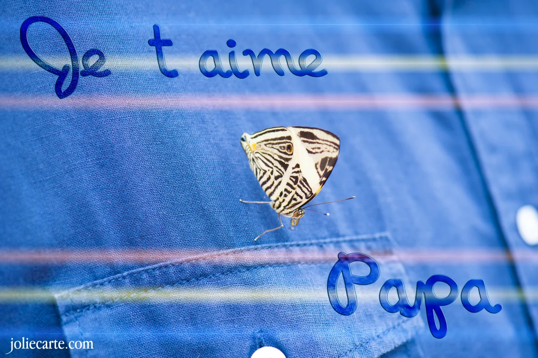 Un papillon zébré noir et blanc est posé sur la poche d'une chemise en tissu bleu, avec l'inscription 'Je t'aime Papa'.