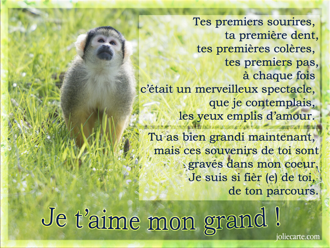 Un petit singe saïmiri se tient debout dans une herbe verte et regarde vers le haut, à côté d'un texte poétique.