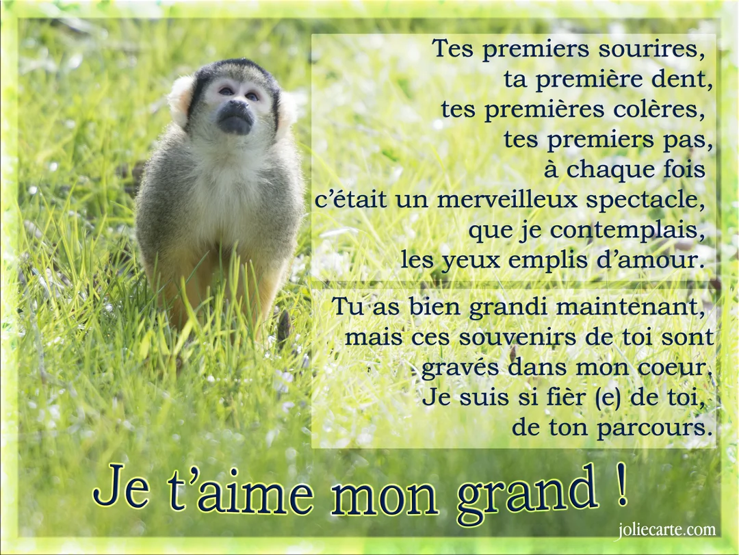 Un petit singe saïmiri se tient debout dans une herbe verte et regarde vers le haut, à côté d'un texte poétique.