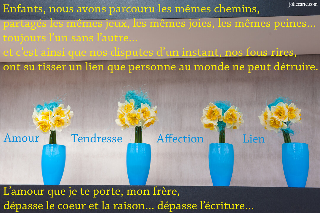 Quatre petits bouquets de jonquilles dans des vases bleus alignés, avec un texte poétique superposé sur l'amour fraternel et les souvenirs d'enfance.