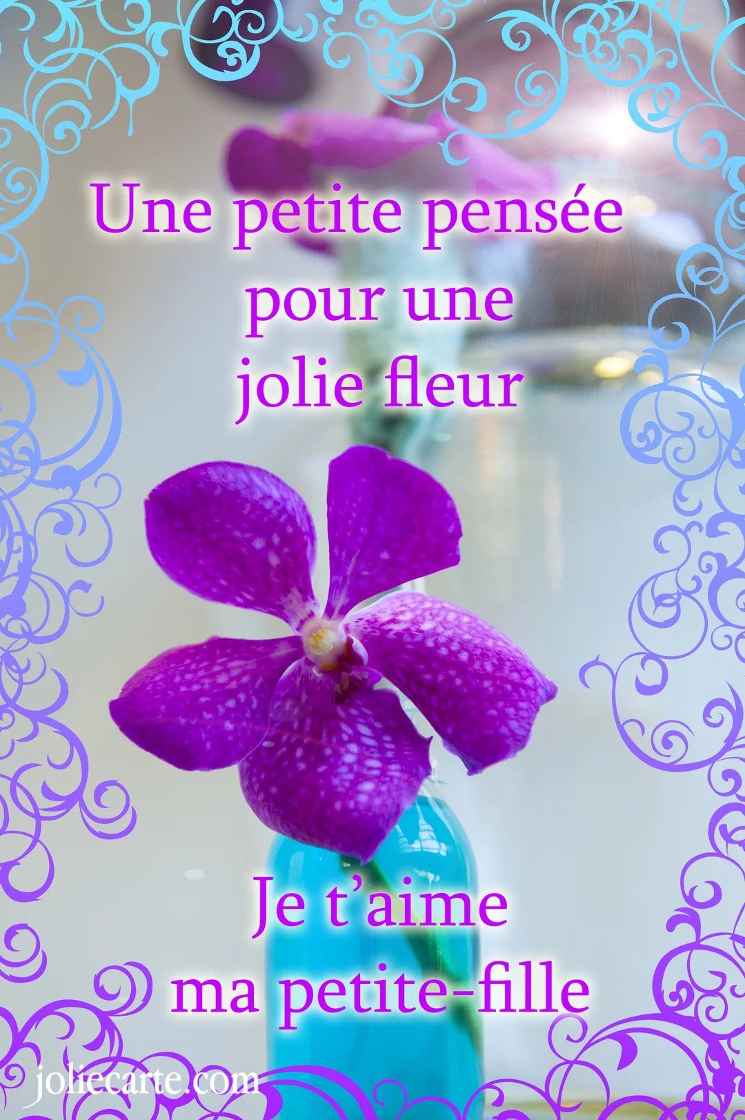 Une orchidée violette et blanche se dresse dans un vase bleu, sur un fond clair avec des arabesques décoratives bleues et violettes.