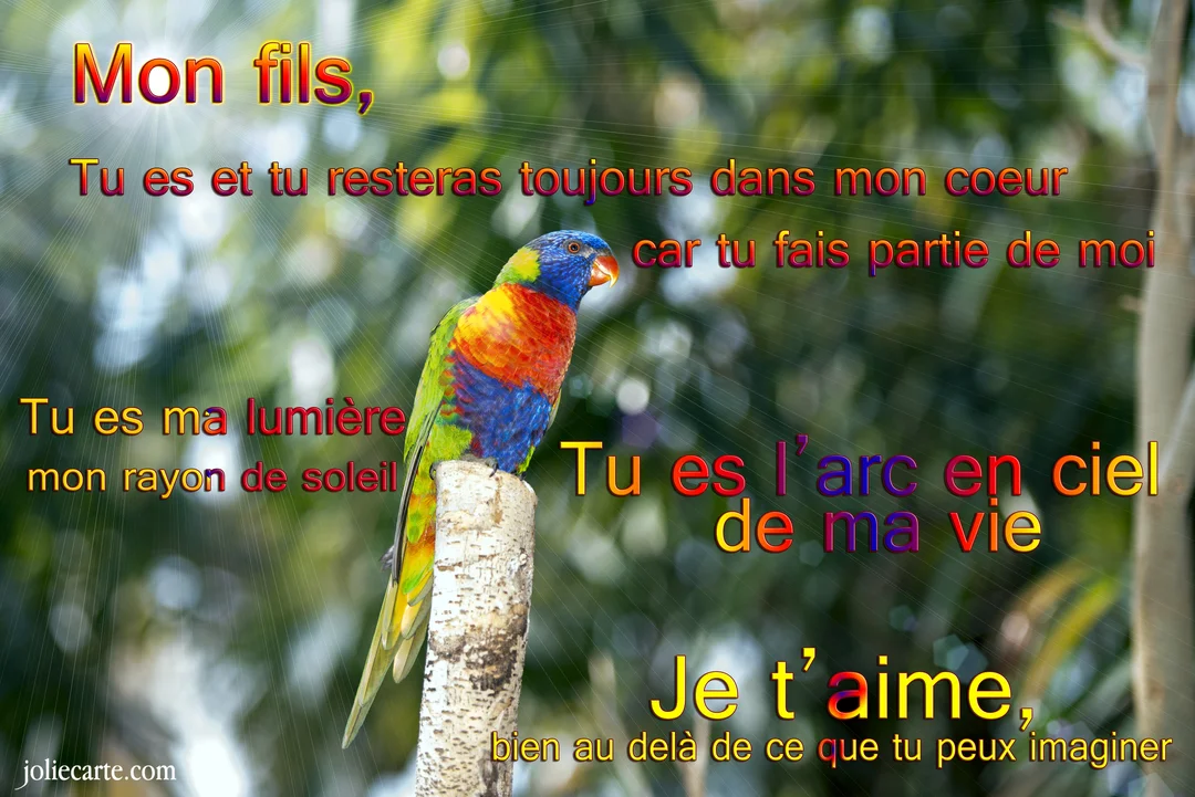 Un perroquet loriquet arc-en-ciel est perché sur une branche, sur un fond de verdure flou avec des rayons de lumière et un message d'amour.