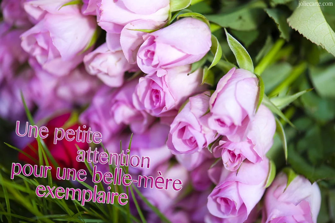 Gros plan sur un bouquet luxuriant de petites roses roses à peine écloses, avec un texte superposé dans le coin inférieur gauche.