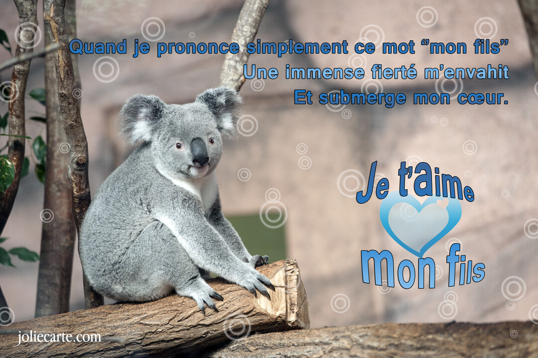 Un koala gris au regard doux est assis sur une branche d'arbre, illustrant une carte exprimant l'amour et la fierté d'un parent pour son fils.