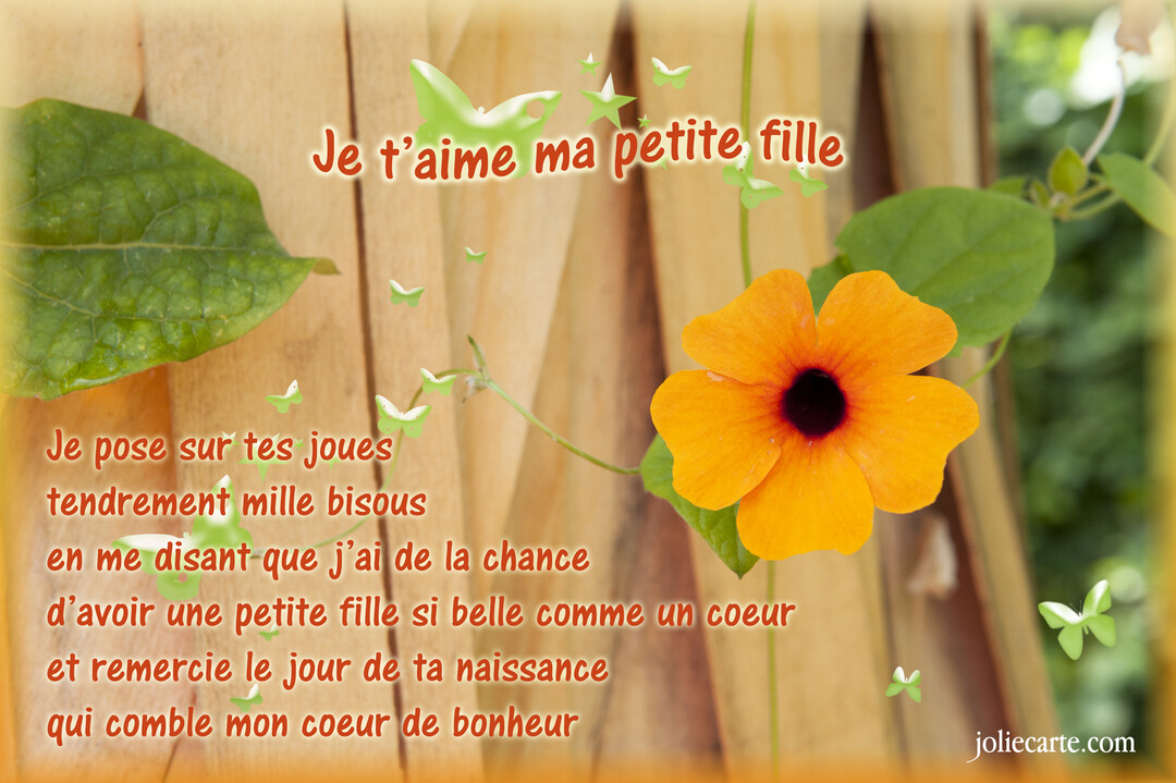 Une composition florale avec une fleur orange Suzanne-aux-yeux-noirs sur un fond de bois clair, accompagnée d'un tendre poème d'amour.