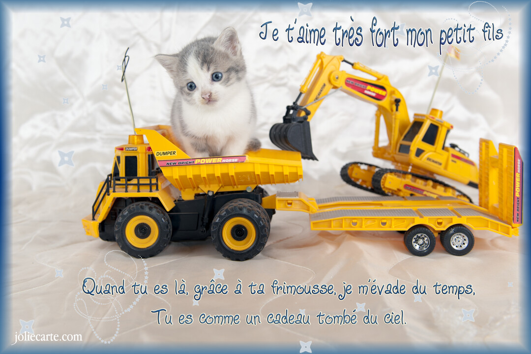 Un petit chaton aux yeux bleus est assis dans la benne d'un camion jouet jaune, à côté d'une pelleteuse sur sa remorque.