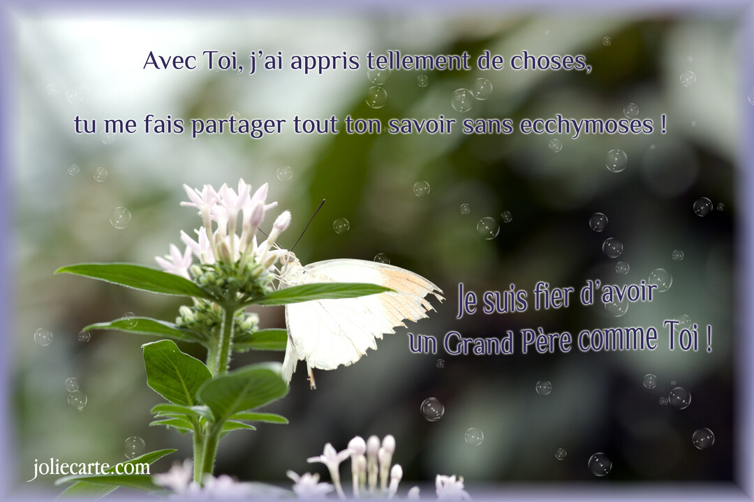 Un papillon blanc aux ailes délicates est posé sur une fleur rose pâle, avec un message de gratitude pour un grand-père.