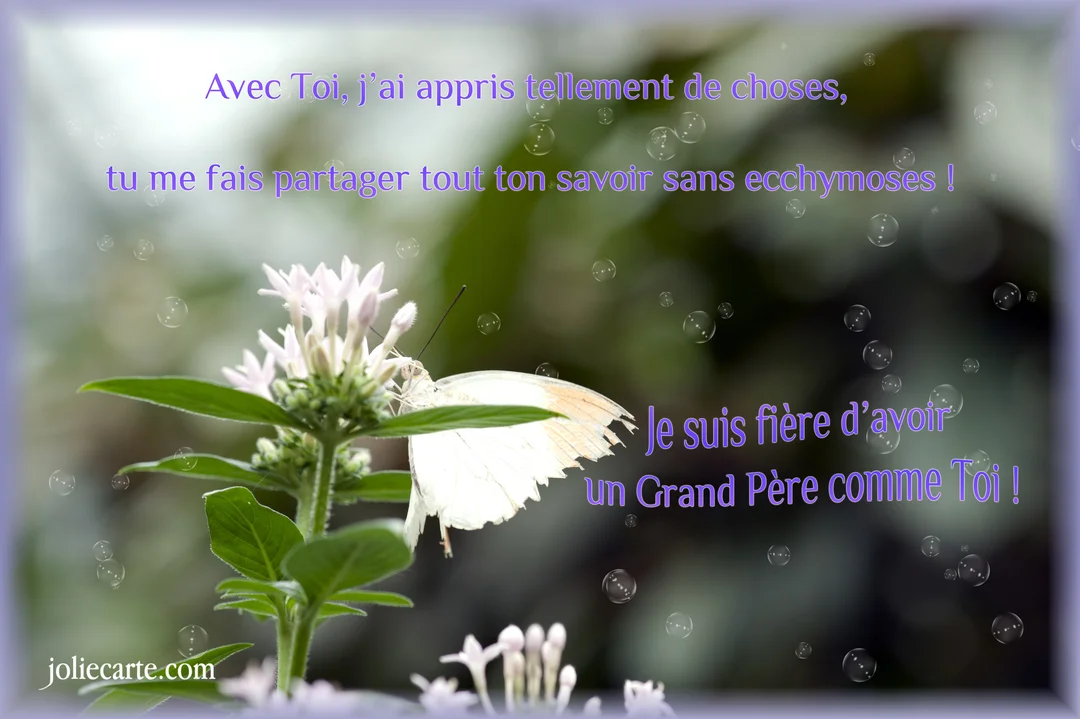Un papillon blanc aux ailes délicates est posé sur une fleur rose pâle, sur un fond naturel vert et vaporeux avec des bulles.
