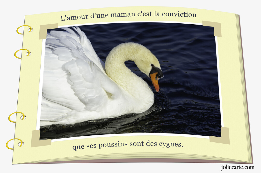 Dans un album photo ouvert, une photographie d'un cygne blanc majestueux flottant sur une eau sombre illustre une citation sur l'amour maternel.
