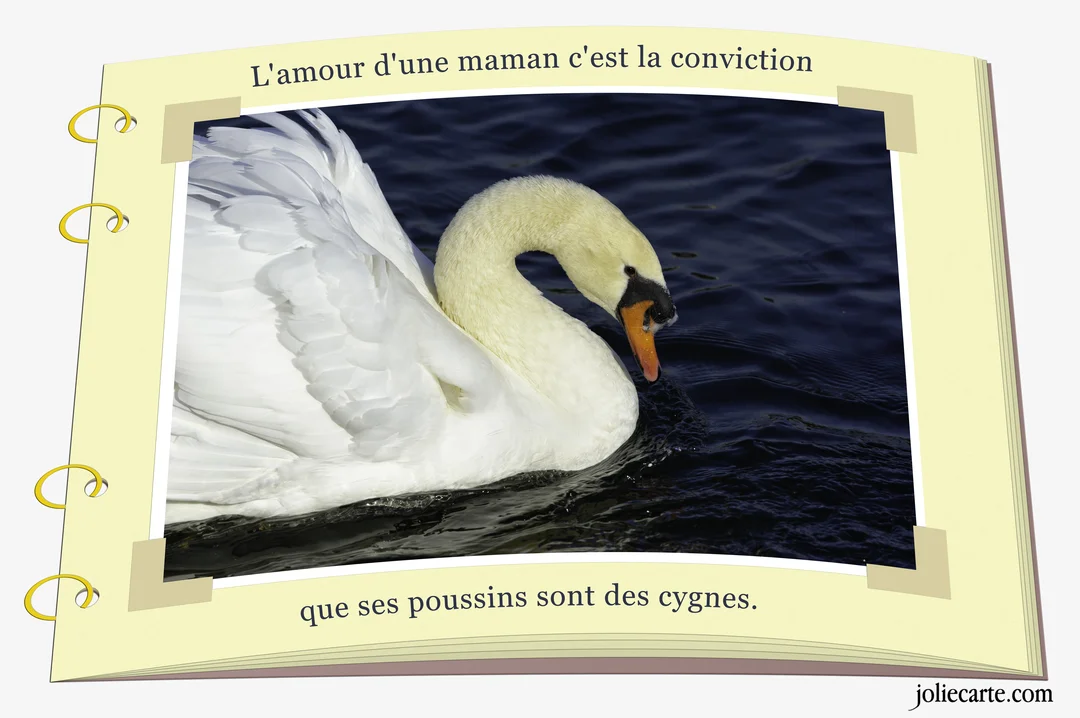 Dans un album photo ouvert, une photographie d'un cygne blanc majestueux flottant sur une eau sombre illustre une citation sur l'amour maternel.