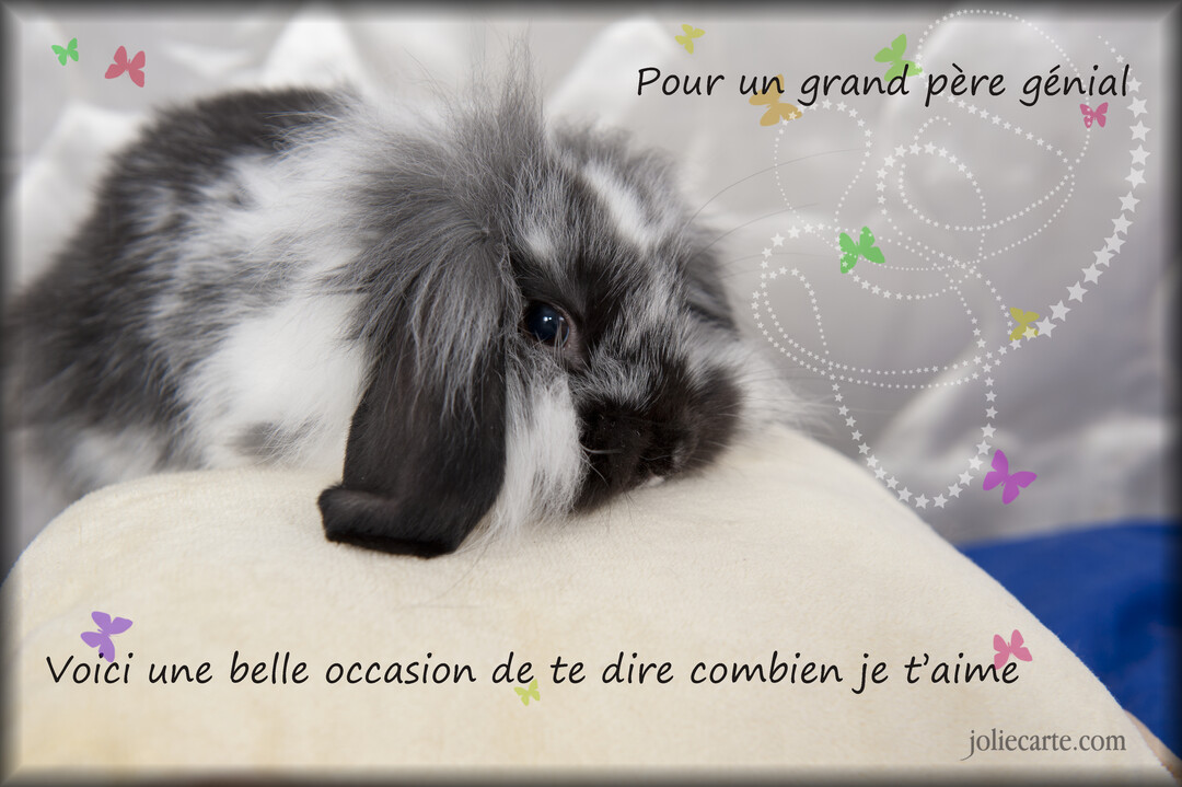 Un lapin bélier angora, noir, gris et blanc, est couché sur un coussin beige, avec un message d'amour pour un grand-père.