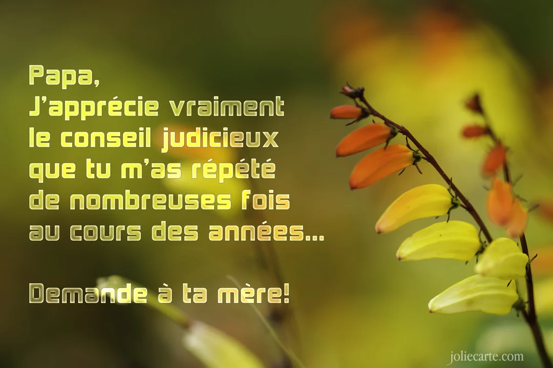 Une carte avec un texte humoristique pour un père, superposé sur une photographie macro de fleurs jaunes et oranges sur une tige.