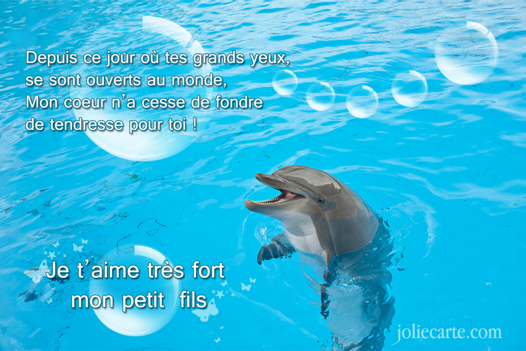 Un dauphin souriant émerge d'une eau turquoise scintillante, accompagné d'un message poétique d'amour pour un petit-fils et de bulles transparentes.