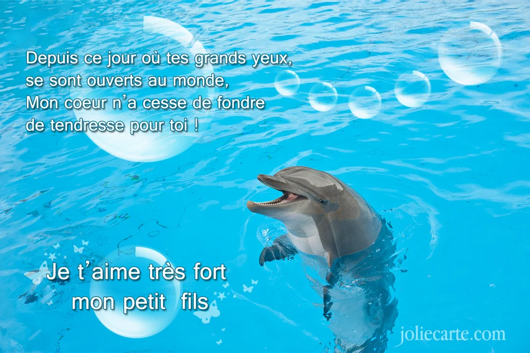 Un dauphin souriant émerge d'une eau turquoise scintillante, accompagné d'un message poétique d'amour pour un petit-fils et de bulles transparentes.
