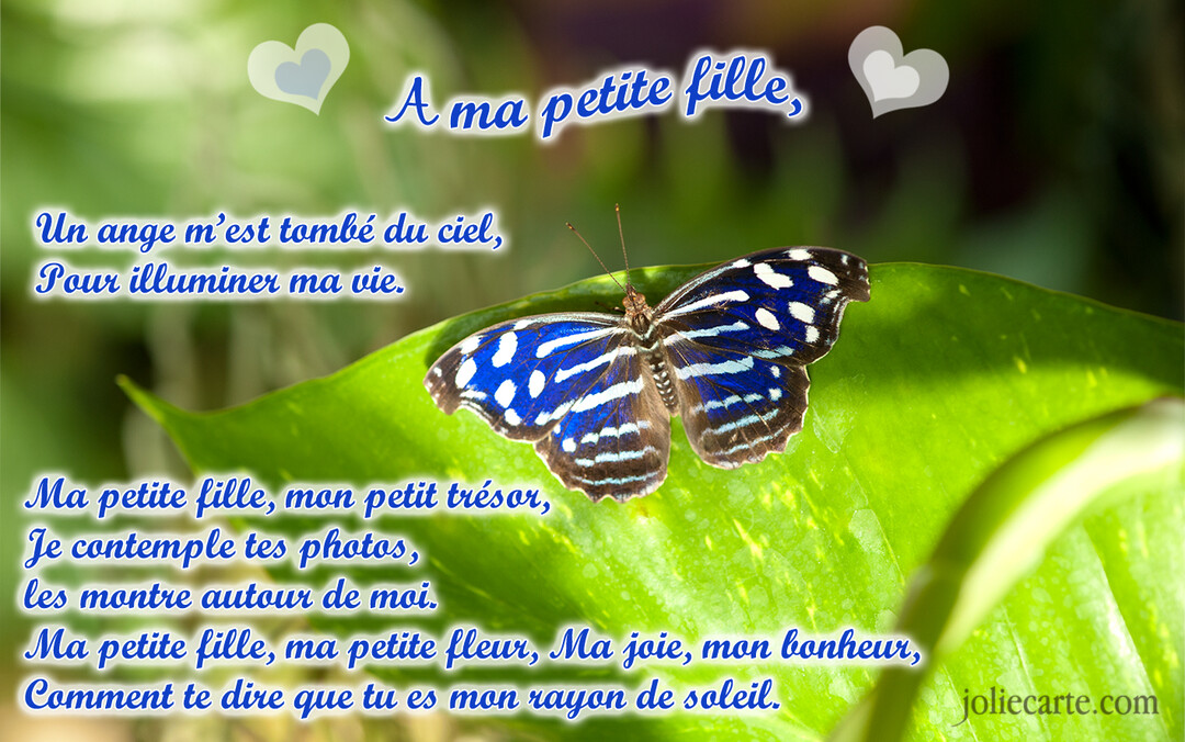 Un magnifique papillon aux ailes bleues et noires est posé sur une feuille verte, accompagné d'un poème d'amour pour une petite-fille.