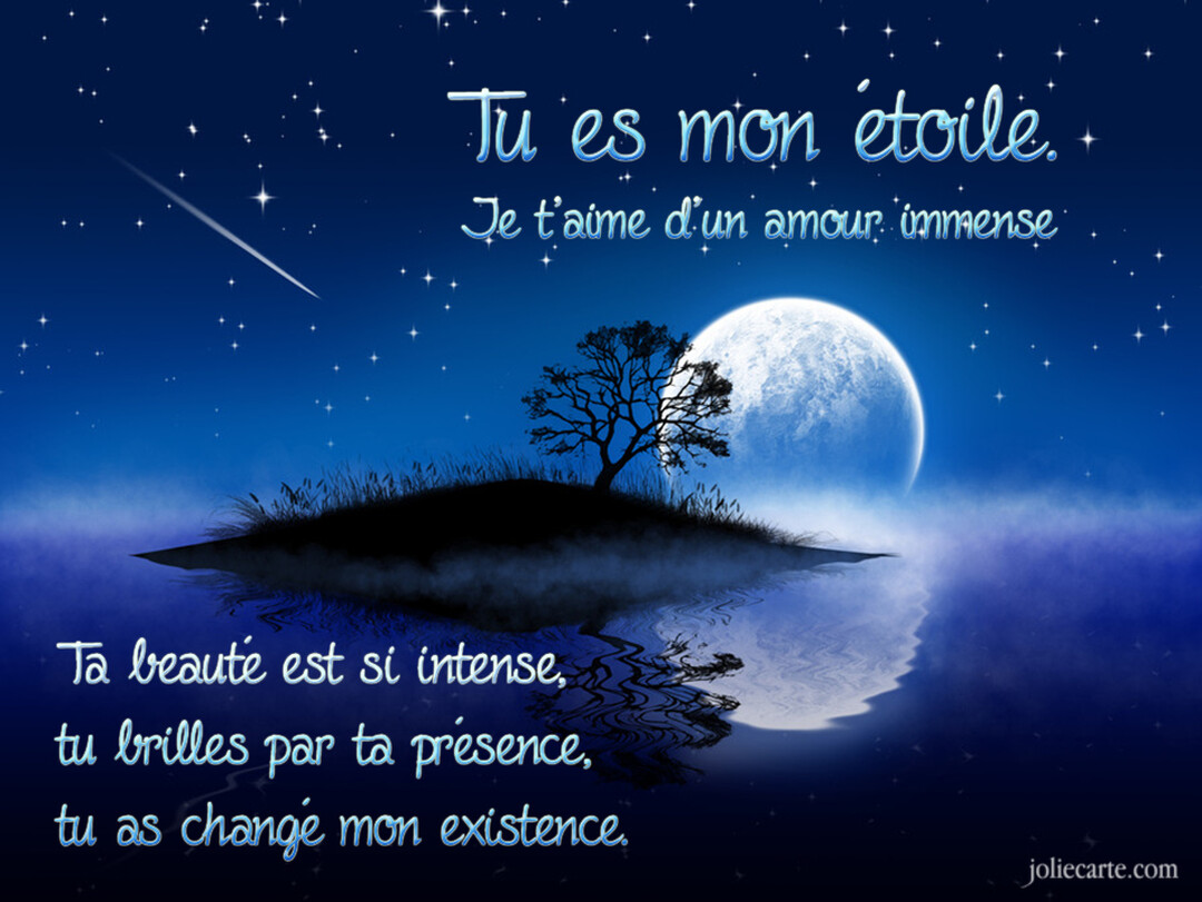Une scène nocturne romantique montre une pleine lune et un arbre sur une île se reflétant dans l'eau sous un ciel étoilé.