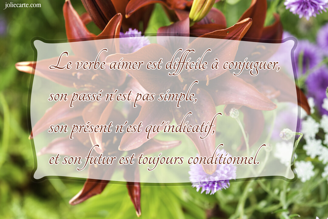 Une citation poétique sur l'amour est superposée sur une photographie en gros plan de fleurs de lys rouges et de petites fleurs violettes.